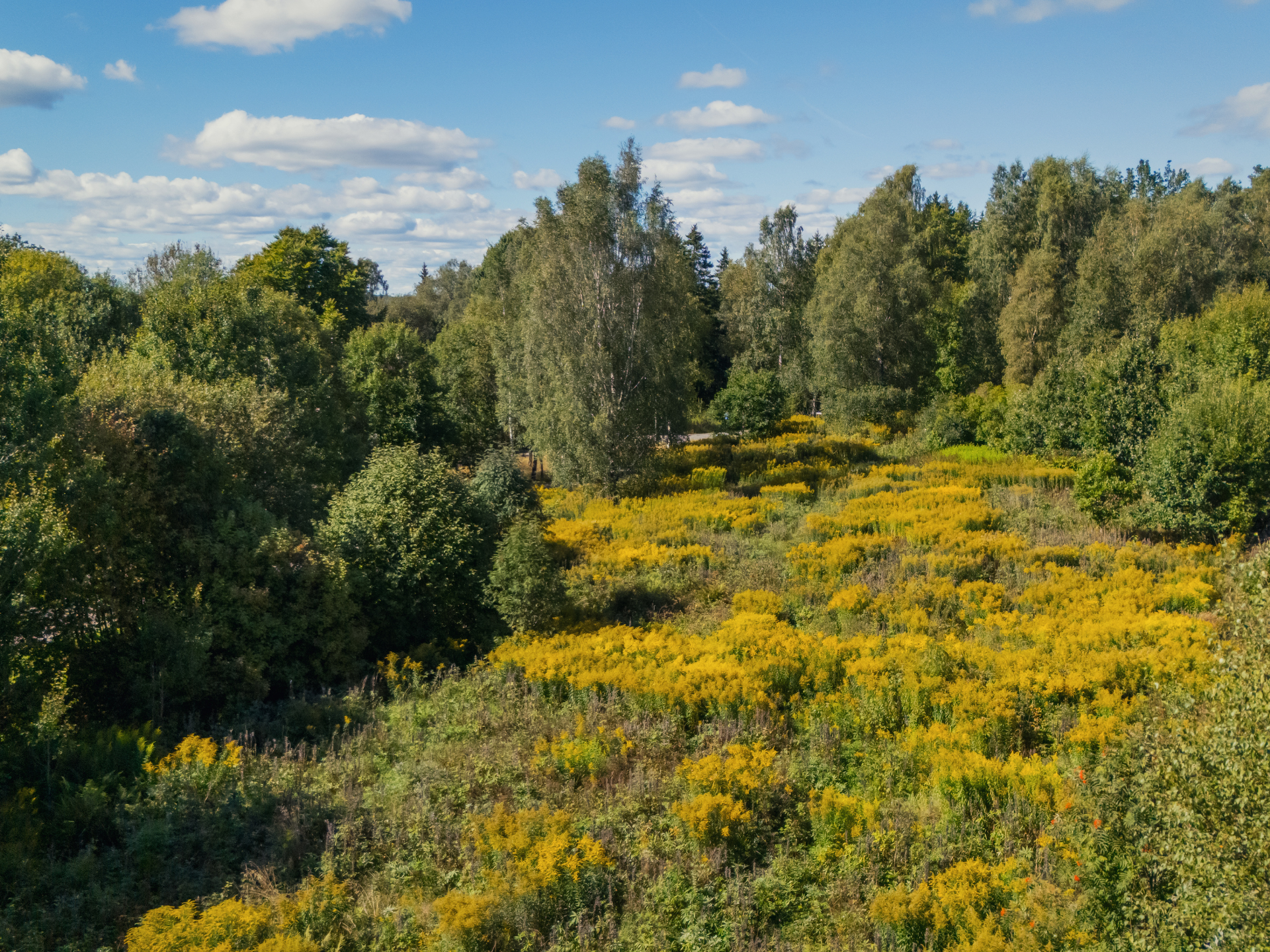 Horndalsgränd Tomt 2 - Horndalsgränd