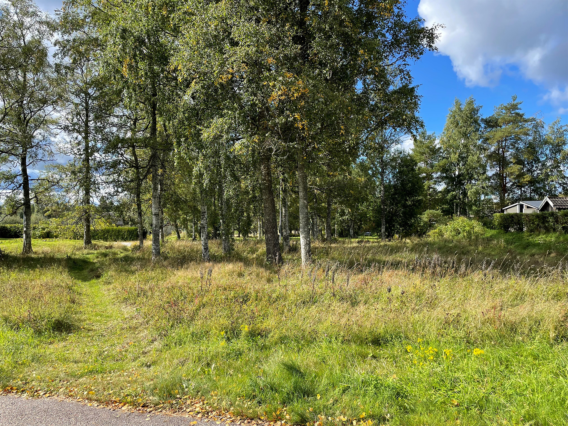 Aspgatan Aspgatan