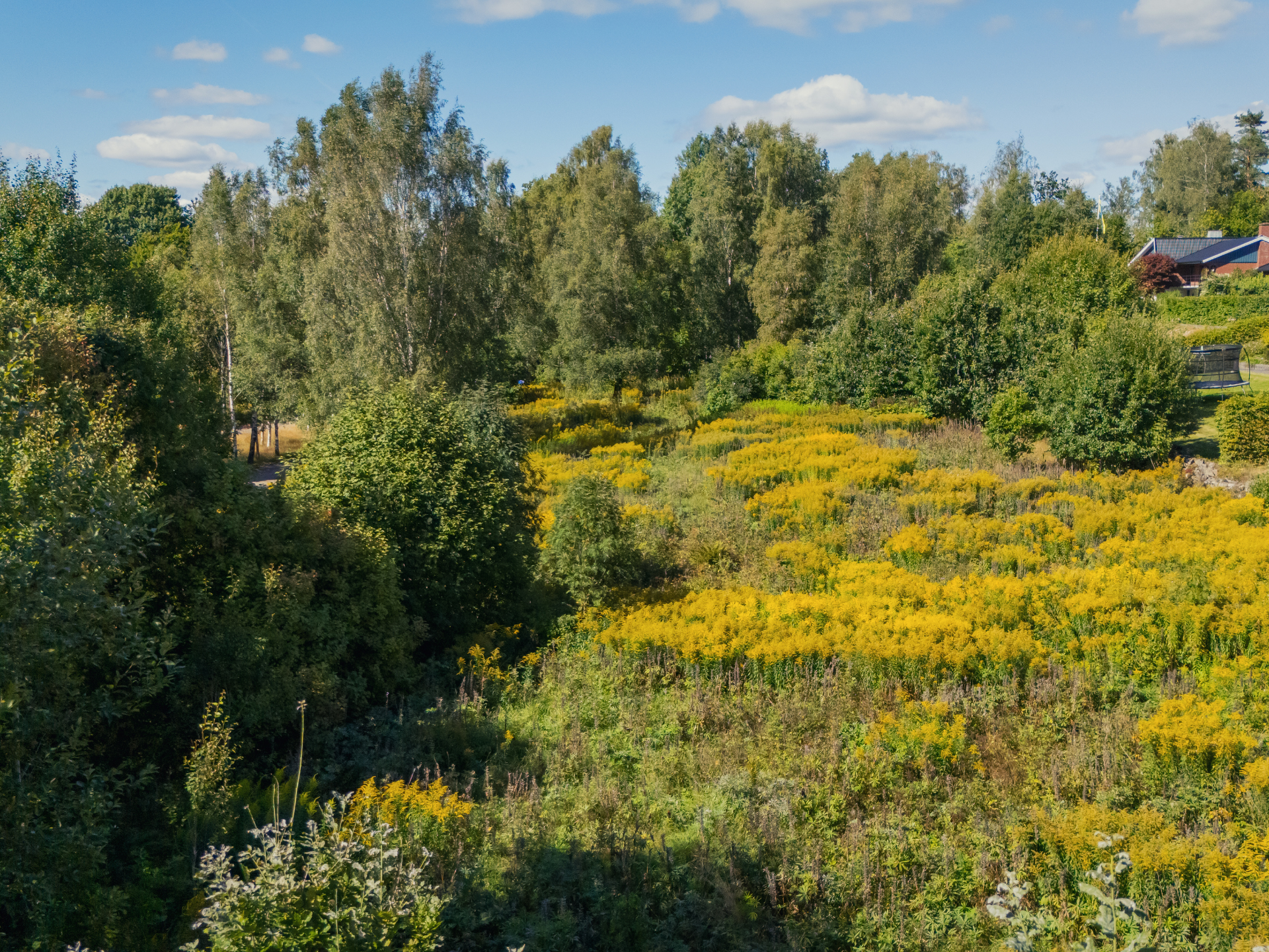 Horndalsgränd Tomt 4 - Horndalsgränd