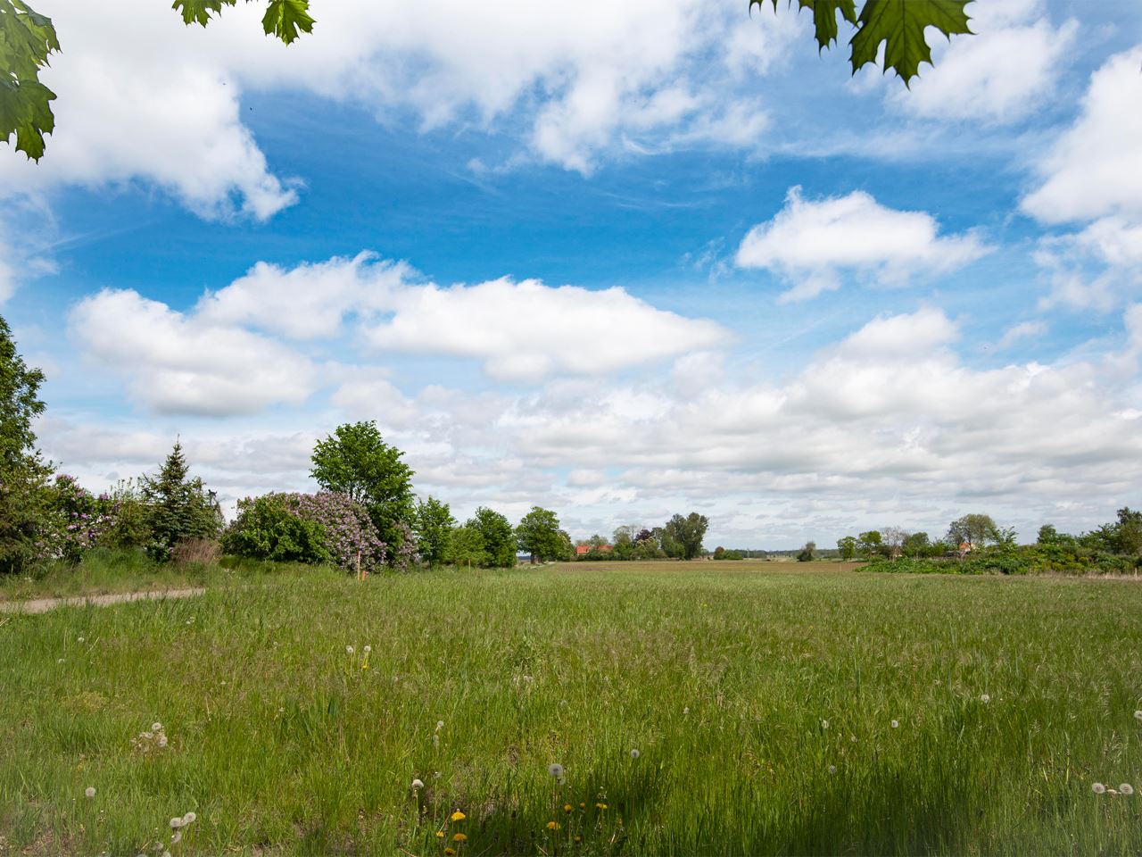 Skogsholmavägen 6 Skogsholmavägen 6