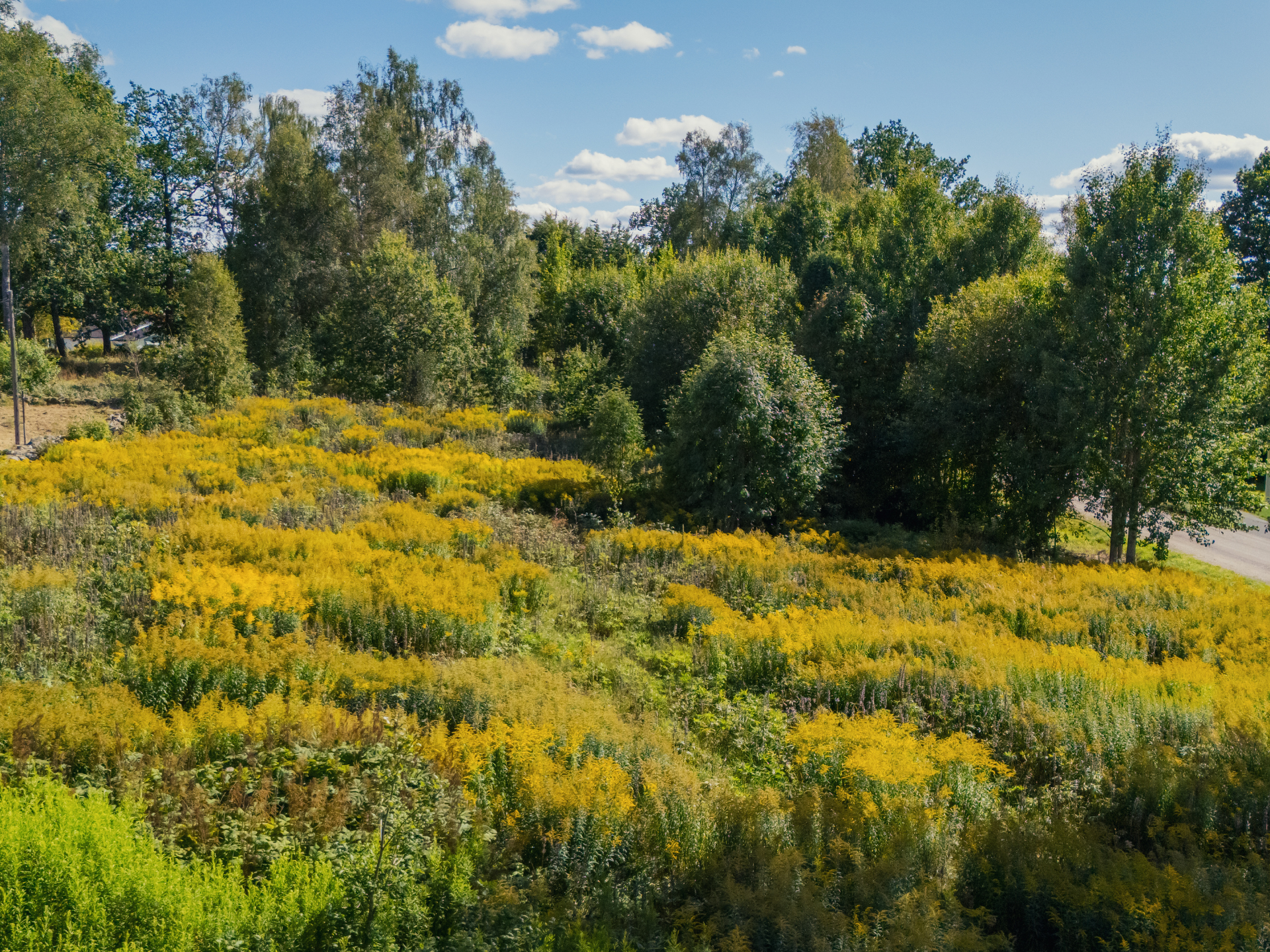 Horndalsgränd Tomt 1 - Horndalsgränd