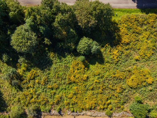 Horndalsgränd Tomt 2 - Horndalsgränd