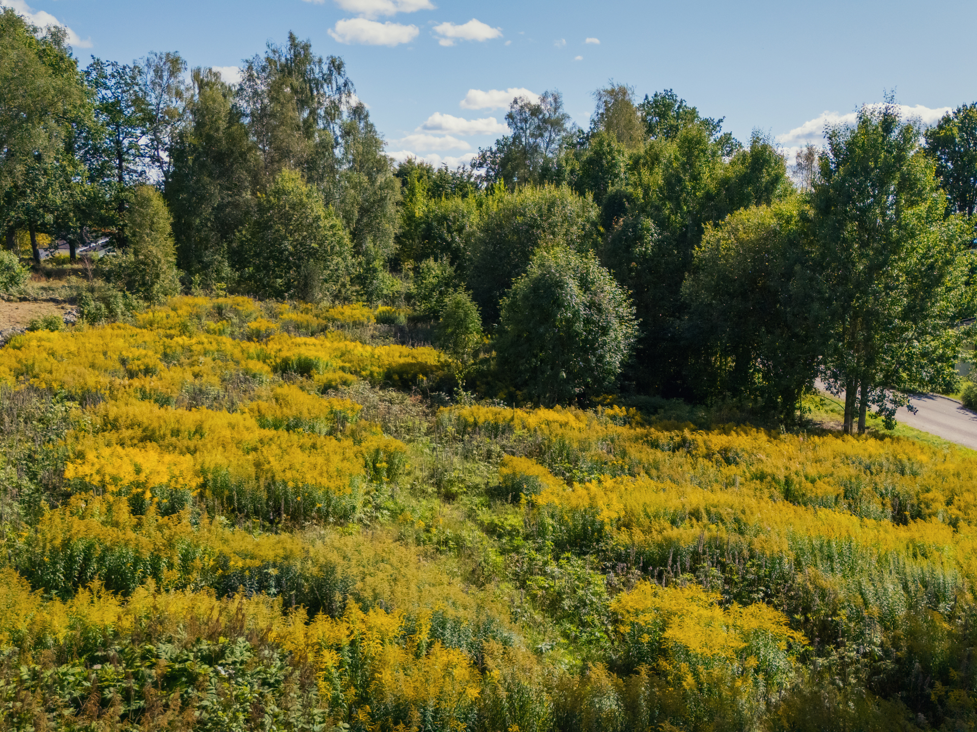 Horndalsgränd Tomt 3 - Horndalsgränd