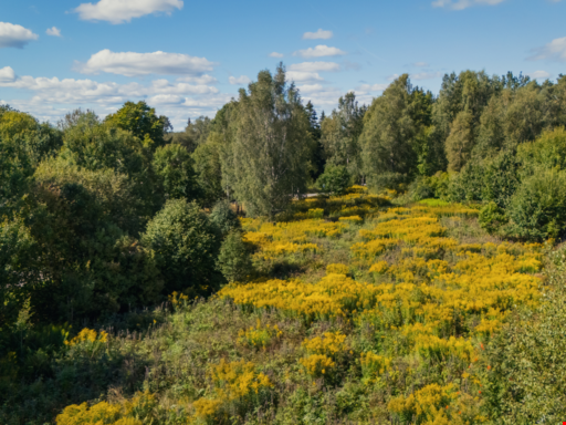 Horndalsgränd Tomt 3 - Horndalsgränd