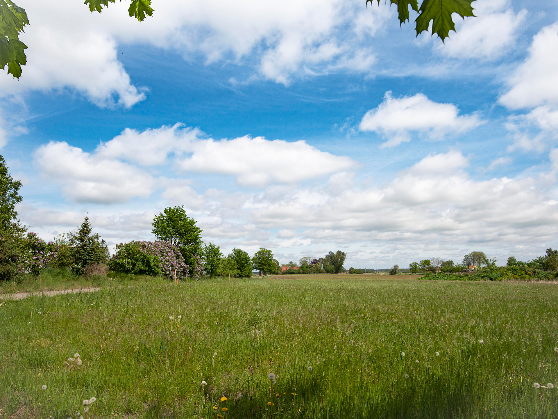 Skogsholmavägen 6 Skogsholmavägen 6