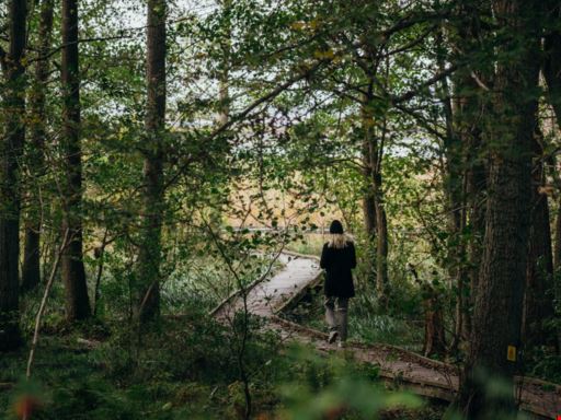 Albert Ribbas väg 7C Albert Ribbas väg 7C